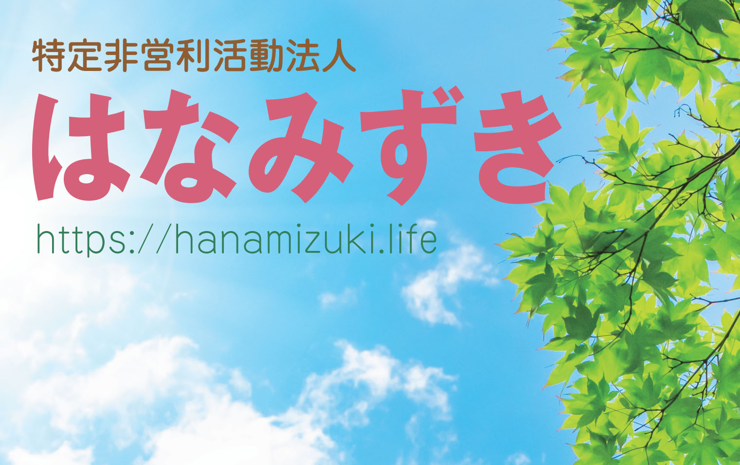 はなみずき